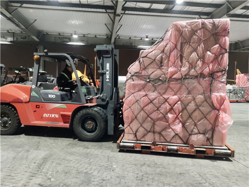 全程保障跨境電商包裹,東方航空物流助力中國海淘電商走向全球